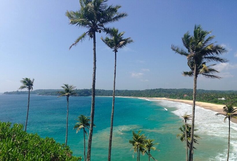 Пансион Seasons Four