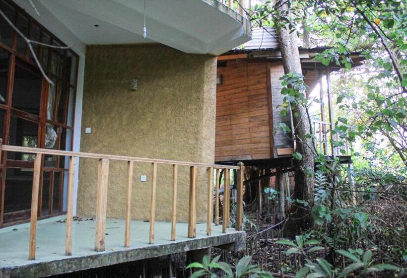 Пансион Seasons Four