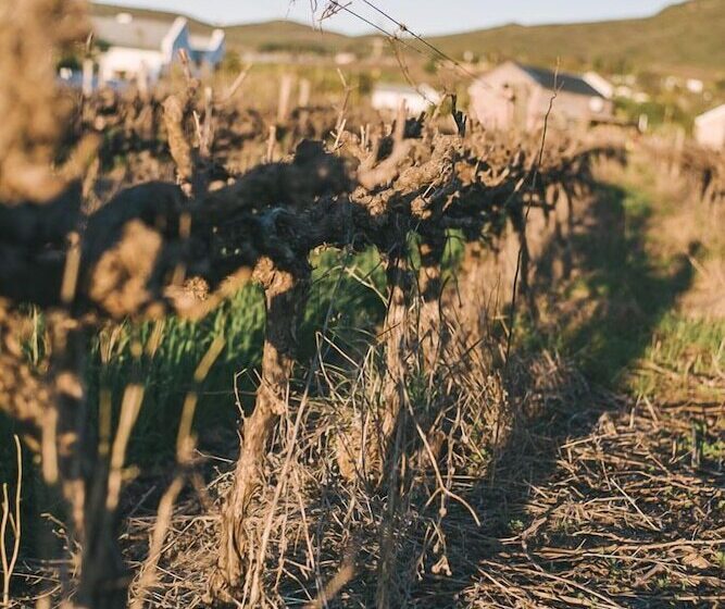 بنسيون Shiraz Estate Villa & Studios