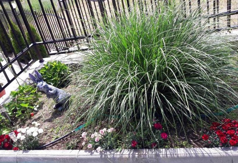 Пансион Stephanovy Guest House