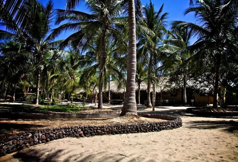 ペンション The Barra Grande Guesthouse & Hostel