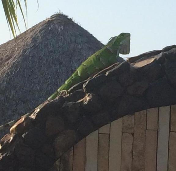 Пансион The Barra Grande Guesthouse & Hostel