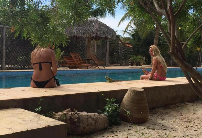 Пансион The Barra Grande Guesthouse & Hostel