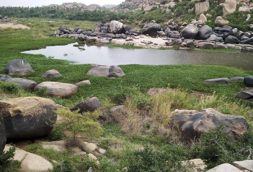 پانسیون Riverside Homestay