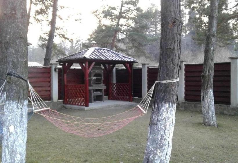 بنسيون Vila A&n