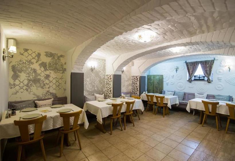 膳宿费 Vila Sibiu