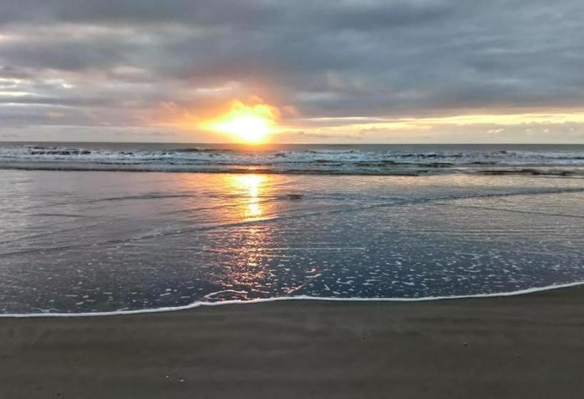 הוסטל Bambusada Boutique