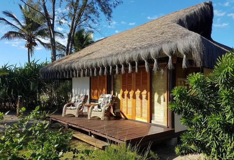 הוסטל Bambusada Boutique