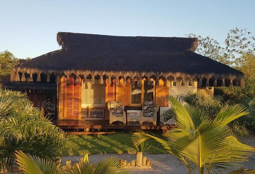 הוסטל Bambusada Boutique