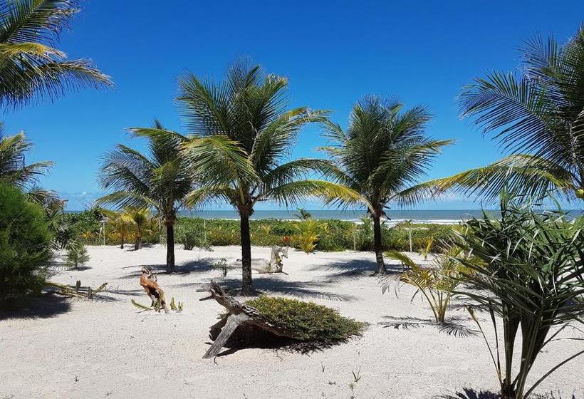 הוסטל Bambusada Boutique