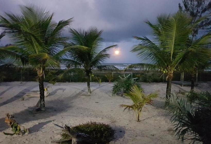 הוסטל Bambusada Boutique