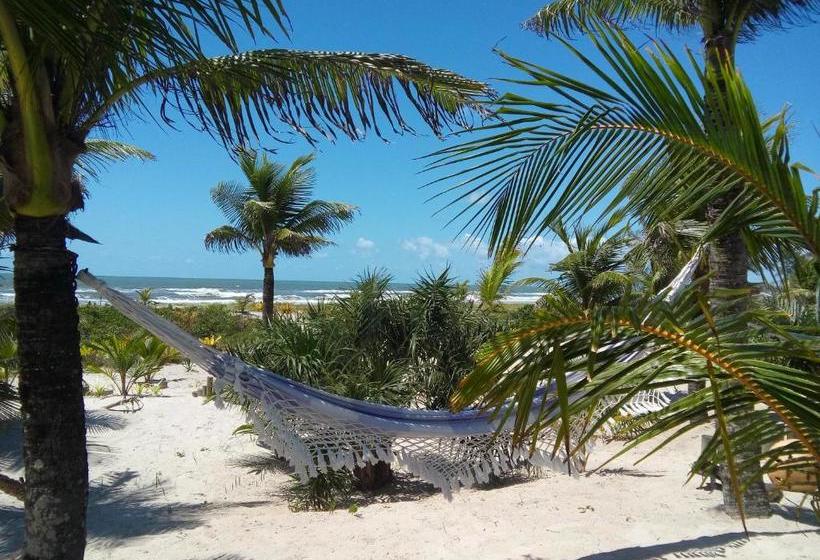 הוסטל Bambusada Boutique