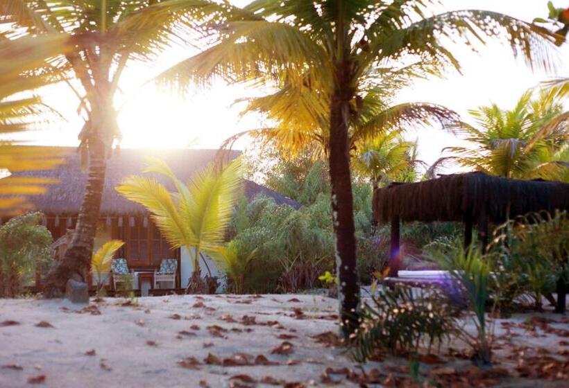 הוסטל Bambusada Boutique