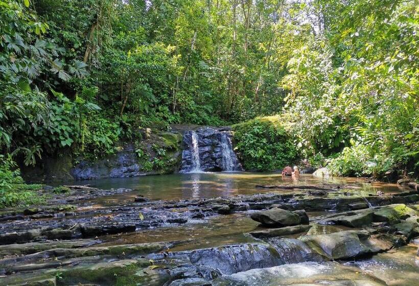 ユースホステル Hostal Cecilia