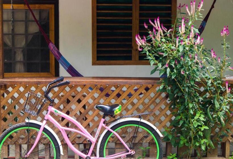 ユースホステル Hostal Cecilia