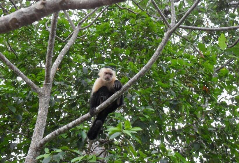 ユースホステル Hostal Cecilia