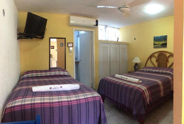 הוסטל Maria's Nicte Ha