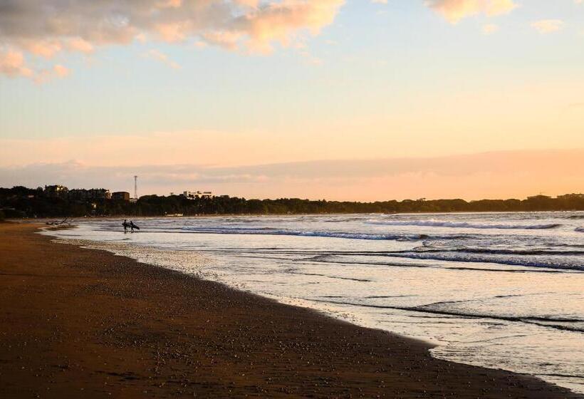 Общежитие Pipe House Playa Grande