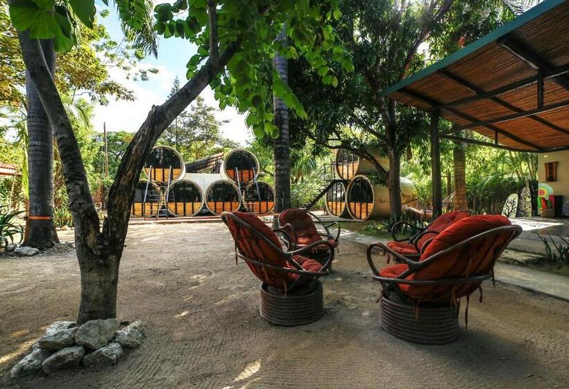 Общежитие Pipe House Playa Grande