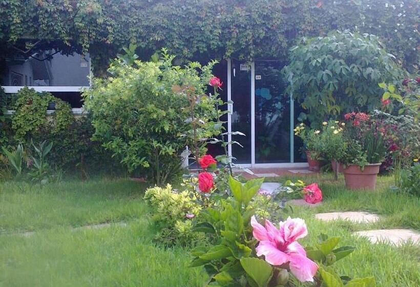 Общежитие Posada Tolteca