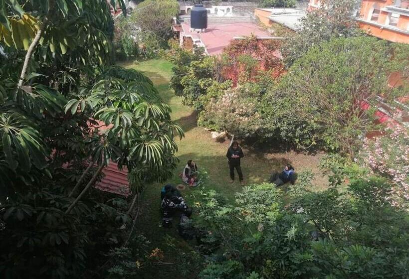 Общежитие Posada Tolteca