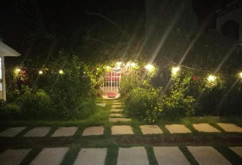 Общежитие Posada Tolteca