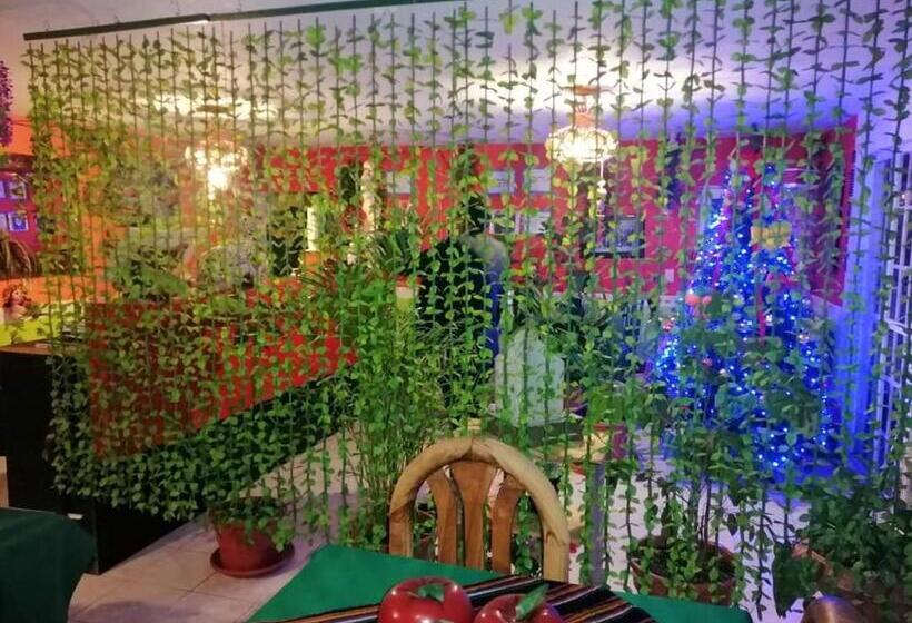 Общежитие Posada Tolteca