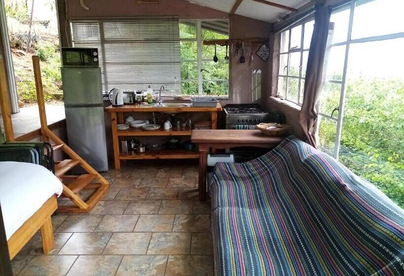 פנסיון Bushwhacked Barberton