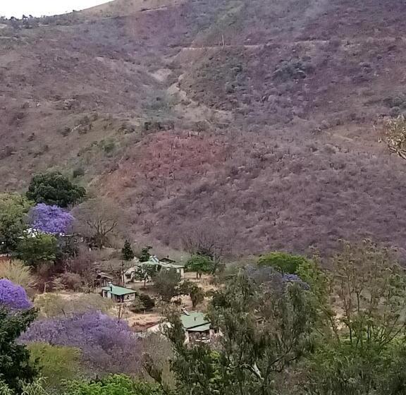 פנסיון Bushwhacked Barberton