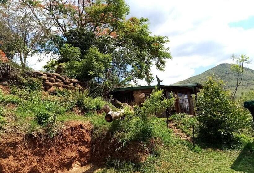 פנסיון Bushwhacked Barberton