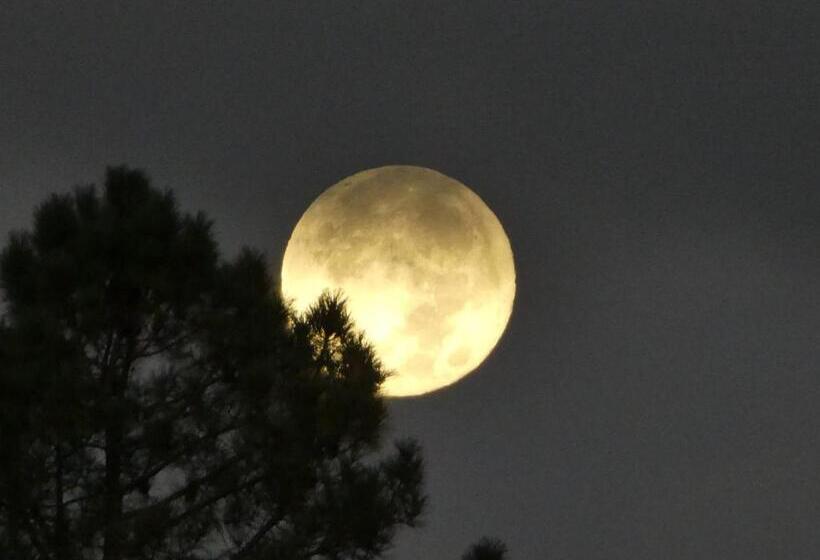 بنسيون Casa Aba Matapalo