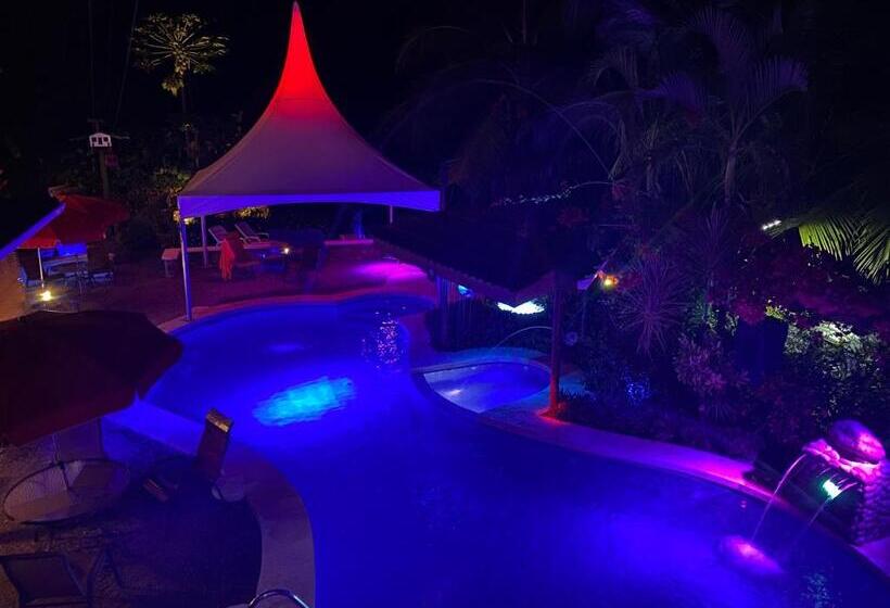 بنسيون Casa Aba Matapalo