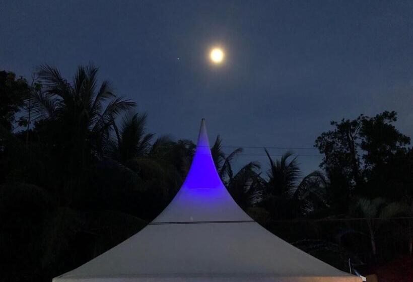 بنسيون Casa Aba Matapalo