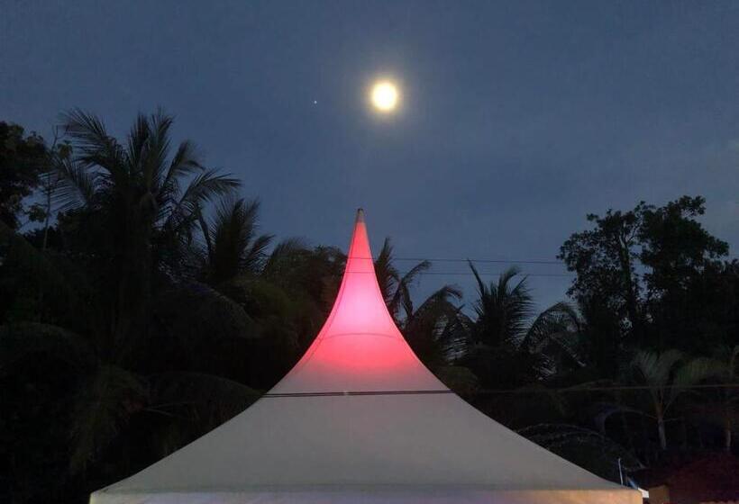 بنسيون Casa Aba Matapalo