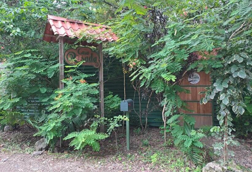 펜션 Casa Rosada Nosara