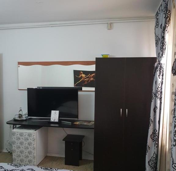 بنسيون Casa Teilor