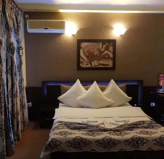 بنسيون Casa Teilor