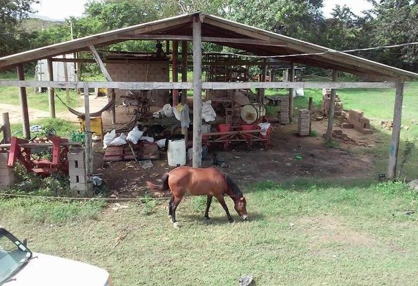 بنسيون Don Santiago Guesthouse Downtown