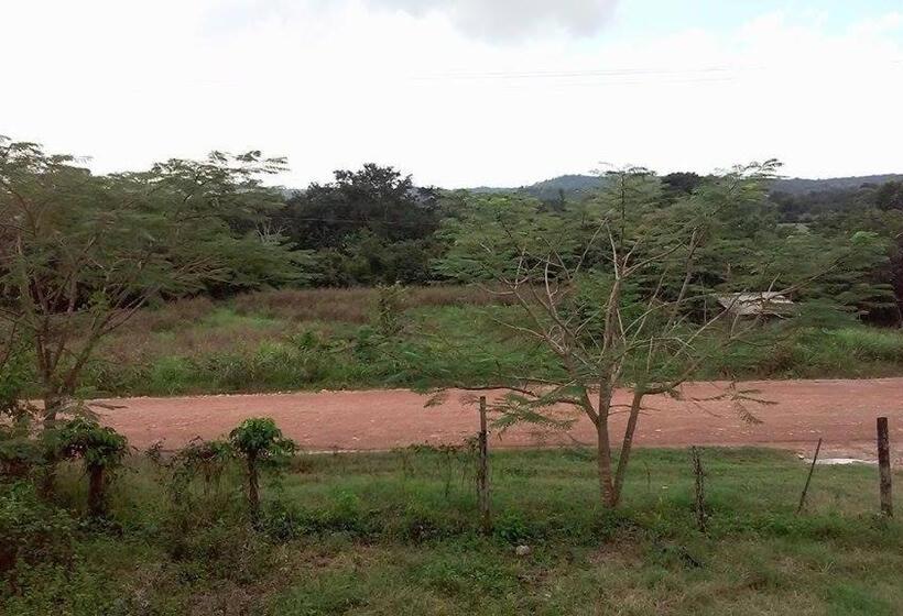 פנסיון Don Santiago Guesthouse Downtown