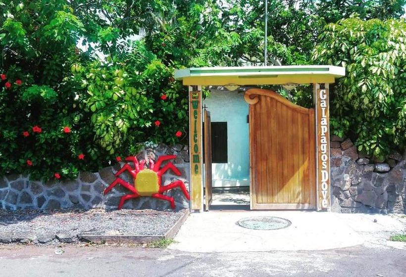 Пансион Galapagos Dove