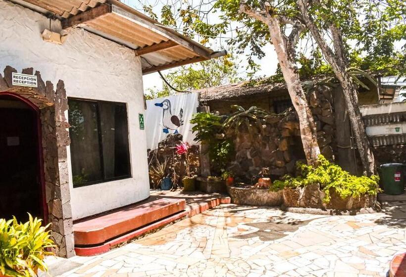 Пансион Galapagos Dove