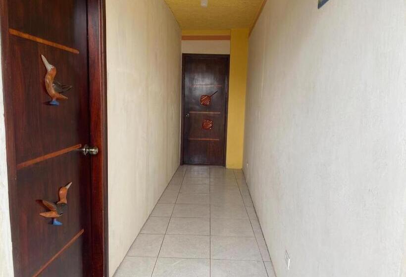 Пансион Galapagos Dove