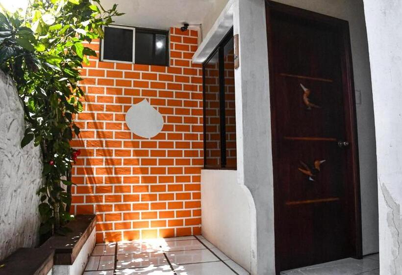 Пансион Galapagos Dove