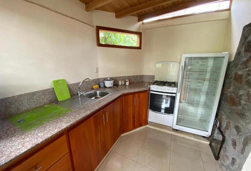 Пансион Galapagos Dove