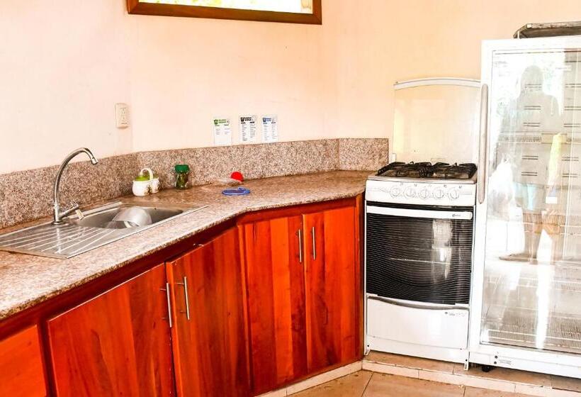 Пансион Galapagos Dove