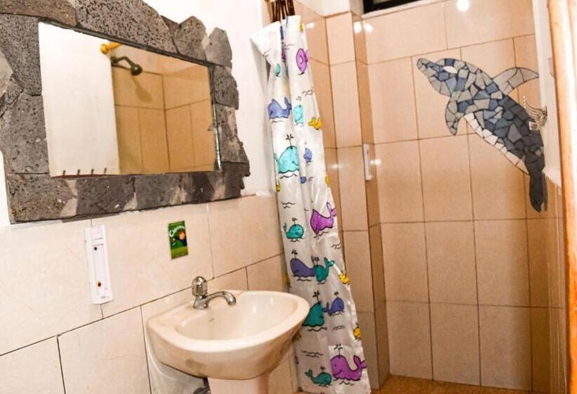 Пансион Galapagos Dove