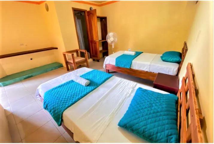 Пансион Galapagos Dove