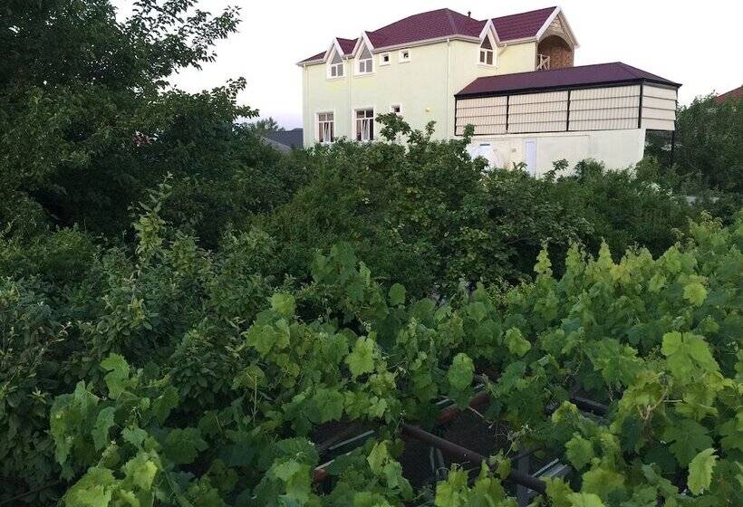 Pensiune Hasanovs Villa