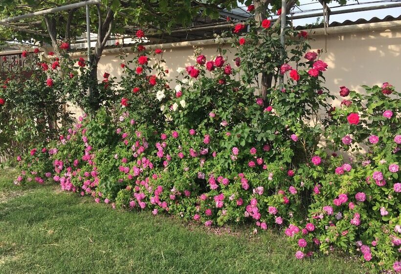 Pensiune Hasanovs Villa