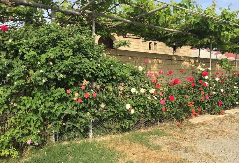 Pensiune Hasanovs Villa